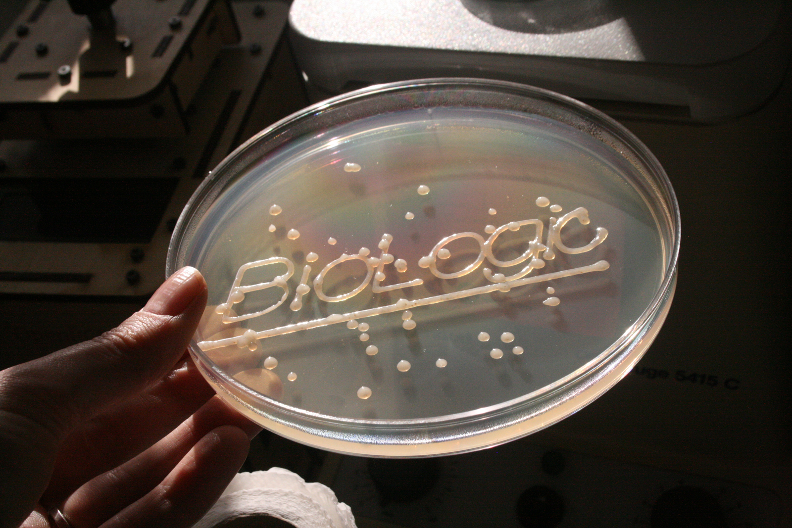 Officina Corpuscoli–BioLogic-printed-plate