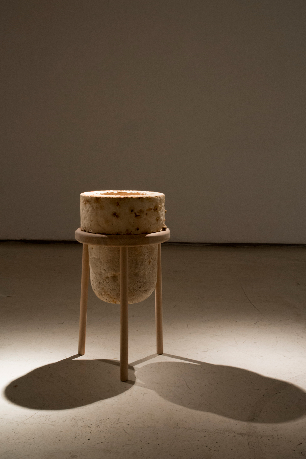 17.The Future of Plastic ©Officina Corpuscoli | Maurizio Montalti - Vase #3 - Mycelium Vase on Wood Stand