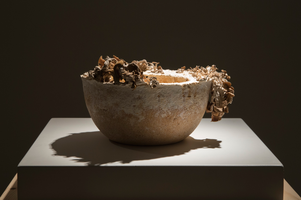 9.The Future of Plastic ©Officina Corpuscoli | Maurizio Montalti - Bowl #8 - Mycelium Bowl with fungi2