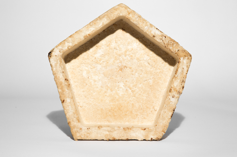 The Growing Lab - Mycelia ©Officina Corpuscoli | Maurizio Montalti - mycelium plate pentagonal2