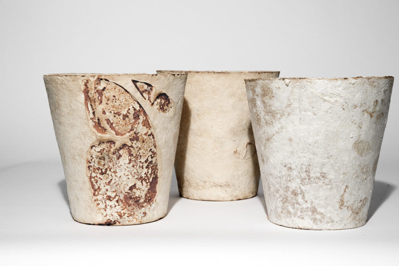 The Growing Lab - Mycelia ©Officina Corpuscoli | Maurizio Montalti - mycelium vase4