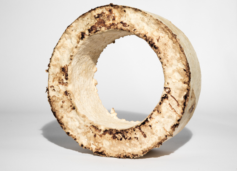 The Growing Lab - Mycelia ©Officina Corpuscoli | Maurizio Montalti - mycelium wheel1