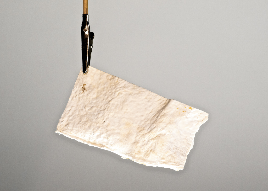 The Growing Lab - Mycelia ©Officina Corpuscoli | Maurizio Montalti - pure mycelium sample flex textile1