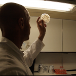 FluxFilm – Documentary Report about OC and fungal mycelium