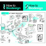 Webinar // HOW TO BIODESIGN #12 @BlueCityLab (NL) // Growing mycelium in and outside a bioreactor