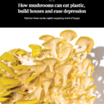 Press Article & Interview // THE TIMES – UK // How mushrooms can eat plastic, build houses and ease depression