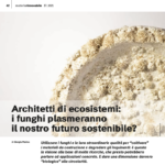 Interview & Article // RENEWABLE MATTER  // Architects of Ecosystems: Will Fungi Shape Our Sustainable Future?